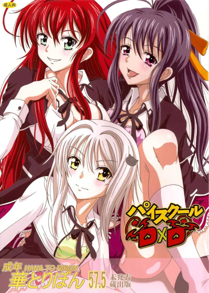 Seinen hana to ribon 57.5 Paisukūru DxD