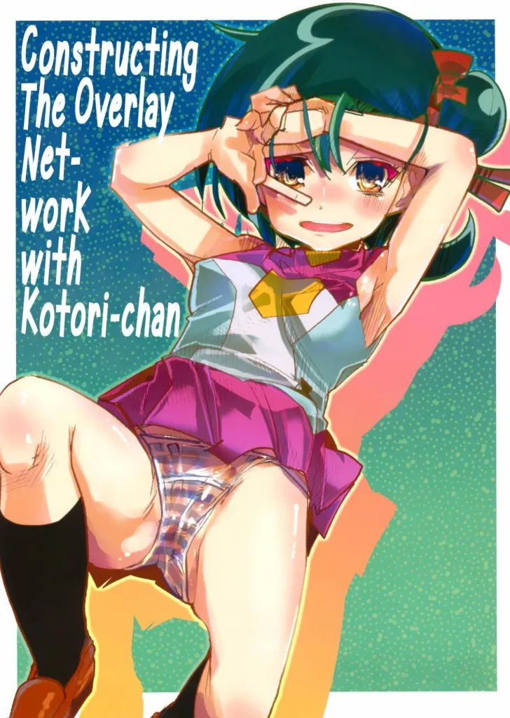 Network o Kouchiku Shite Kotori-chan to Gattai Suru Hon