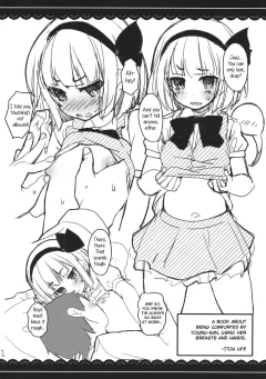 Youmu-san ni Oppai to Tekoki de Nagusamete Morau Hon