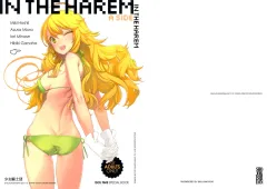 IN THE HAREM A SIDE - Decensored