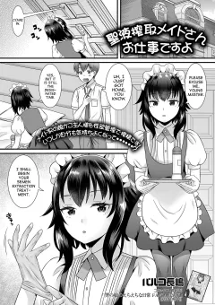 Seiki Sakushu Maid-san Oshigoto Desu Yo