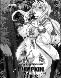 Misuke's Short Stories 10 - Pumpkin Flies