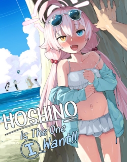 Hoshino ga Iin da yo!!