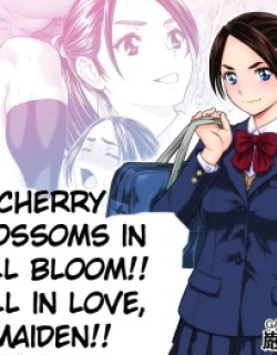 Cherry Blossoms in Full Bloom!! Fall in Love, Maiden!!