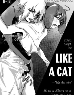 Like A Cat
