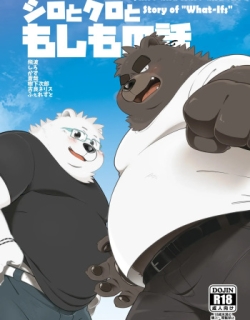 Shiro and Kuro and the Story of "What-Ifs"