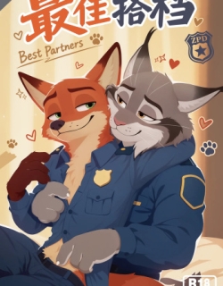 Best Partner