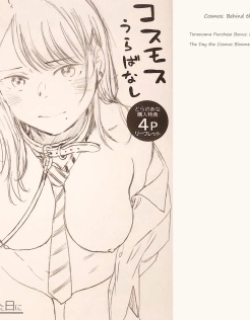 Kosmos ga Saita Hi ni Toranoana Tokuten 4P Leaflet